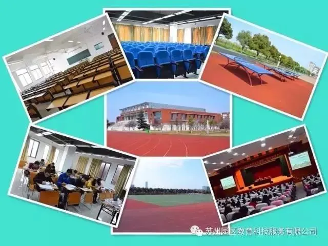 职业球员如何通过联赛提升竞技水平_0